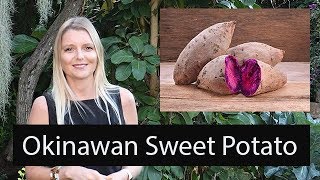 The Okinawan Sweet Potato [upl. by Conti969]