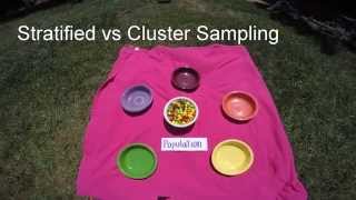 Stratified v Cluster Sampling [upl. by Alehc]