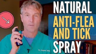 Natural Flea and Tick Spray for Dogs [upl. by Shepley373]