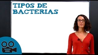 Tipos de bacterias [upl. by Gnus]