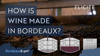 Red Winemaking in Bordeaux Explained [upl. by Corin]