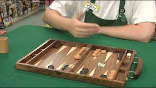 How to Play Backgammon [upl. by Emerick]