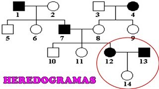 HEREDOGRAMAS  Exercícios e Dicas [upl. by Merow]