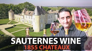 Your Essential Guide to Sauternes  Fine Rare amp Most Expensive Wines from Bordeaux Part3 [upl. by Aivato963]