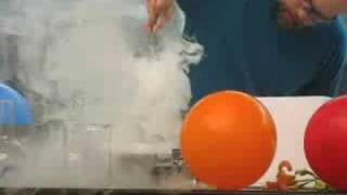 Liquid Nitrogen Demonstration [upl. by Lihcox]