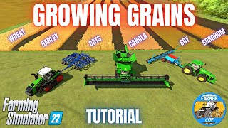 HOW TO GROW GRAINS  Farming Simulator 22 [upl. by Leirud]