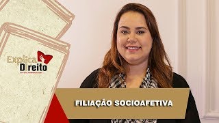 Explica Direito Filiação Socioafetiva  2019 [upl. by Kerril]