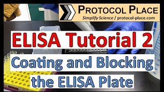 ELISA Tutorial 2 Coating and Blocking the ELISA Plate [upl. by Yhtorod]