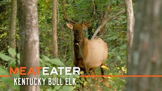 Boone amp Bugles Kentucky Bull Elk  S4E10  MeatEater [upl. by Eiramanitsirhc]