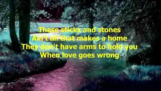 Sticks and Stones by Tracy Lawrence  1991 with lyrics [upl. by Nylssej]