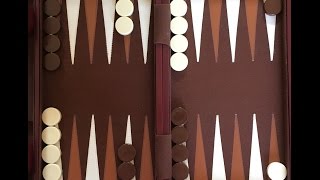 How To Play Backgammon [upl. by Trahern]