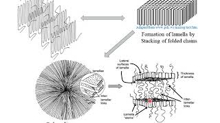 Polymer Crystallization [upl. by Lienhard]