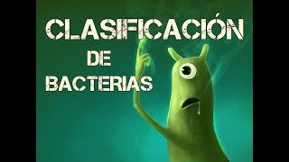 CLASIFICACIÓN DE BACTERIAS 3 [upl. by Arimas288]