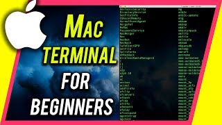 How To Use Terminal On Your Mac  Command Line Beginners Guide [upl. by Hallimaj420]