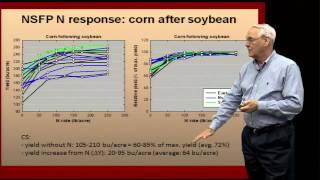 How to Properly Apply Nitrogen Fertilizer [upl. by Harsho]