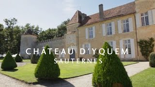 Fine Vintage Ltd Presents James Cluer in BordeauxFrance Part 12  Château dYquem [upl. by Ailem]