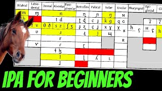 Conlanging 101 Basics of the IPA [upl. by Heath]