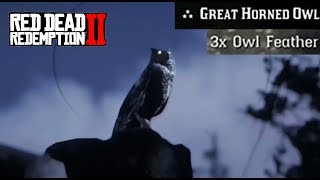 Where To Find an Owl CONSISTENT SPAWN  Red Dead Redemption 2 Owl Feathers Location Guide RDR2 [upl. by Ophelie]