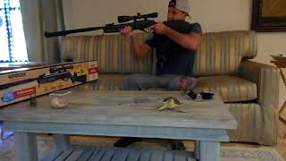 Benjamin Vaporizer 177 Air Rifle Review [upl. by Neville601]