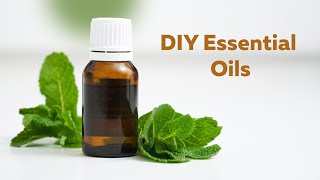 DIY Essential Oils Learn How to Make Your Own Essential Oils [upl. by Eisle]