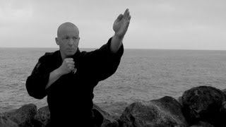 Ninjutsu Kamae and important kata  AKBAN daily training recommendation [upl. by Ernest169]