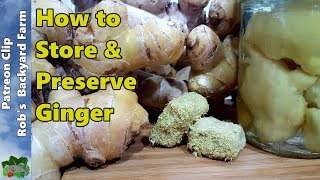 7 Ways to Store GINGER or Turmeric [upl. by Bord718]