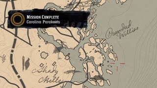 Carolina Parakeet Locations RDR2 Mission Guide [upl. by Leterg]