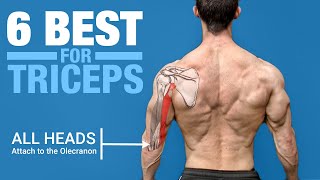 6 BEST Triceps Exercises ANATOMY BASED [upl. by Hashum]