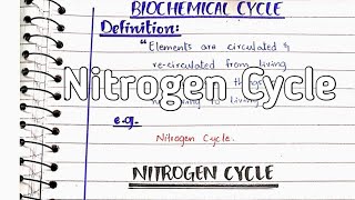 Nitrogen cycle  Nitrogen fixation [upl. by Marnie463]