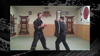 Taijutsu BujinkanNinjutsu Lesson  Ninja Training Video Lesson [upl. by Eirod]