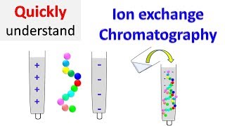 Ion exchange chromatography [upl. by Latham]