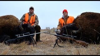 2013 Yellowstone Bison Hunt  Montana [upl. by Eadnus538]