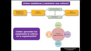 La cultura organizacional y el entorno [upl. by Nickolas]