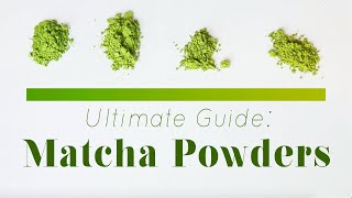 The Best Affordable Matcha Powders  Matcha 101 [upl. by Catlee479]