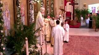 Ordination of a Deacon [upl. by Aneelahs]