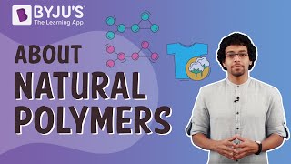 Natural Polymers Characteristics and Examples [upl. by Bennink58]