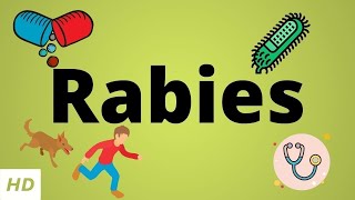 Rabies Causes SIgn and Symptoms Diagnosis and Treatment [upl. by Lyndsey]