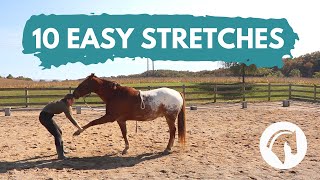 HOW TO STRETCH A HORSE 10 Easy Horse Stretches [upl. by Acceber]