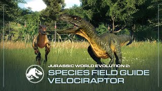 Species Field Guide  Velociraptor  Jurassic World Evolution 2 [upl. by Litton]