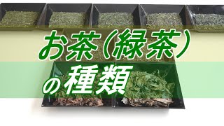 【お茶の種類】8種の緑茶の種類を徹底解説 [upl. by Olaznog]