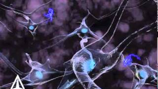 How Neurotransmission amp brain signals work  3D animation [upl. by Yornoc]