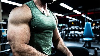 How To Get Big FREAKING Arms BICEPS amp TRICEPS WORKOUT [upl. by Aitercal369]