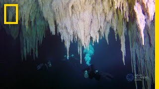 Explore the Worlds Largest Underwater Cave  National Geographic [upl. by Ima]