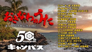 沖縄民謡メドレー2 癒しの沖縄音楽でリラックス気分【快眠 熟睡用BGM】【作業用BGM】【沖縄の歌】【琉球民謡 】 [upl. by Nesline]