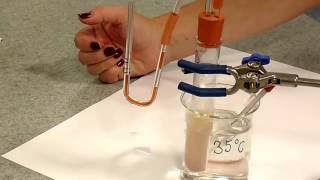 Rate of Respiration in Yeast [upl. by Strohben]