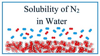 Solubility of N2 Nitrogen gas in Water [upl. by Dleifxam]