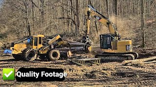 Mechanical logging Crew Hardwood [upl. by Romano]