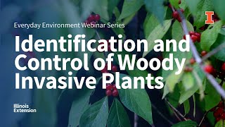 Identification and Control of Woody Invasive Plants Everyday Environment [upl. by Darda768]