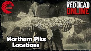 Northern Pike Locations rdr2 Online  Red Dead Online Northern Pike Location Guide [upl. by Namialus]