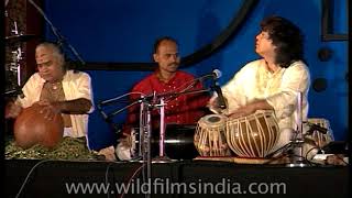 Zakir Hussain and Sivamani Jugalbandi in 1990s  most fabulous gathering of Indian classical doyens [upl. by Nyssa816]